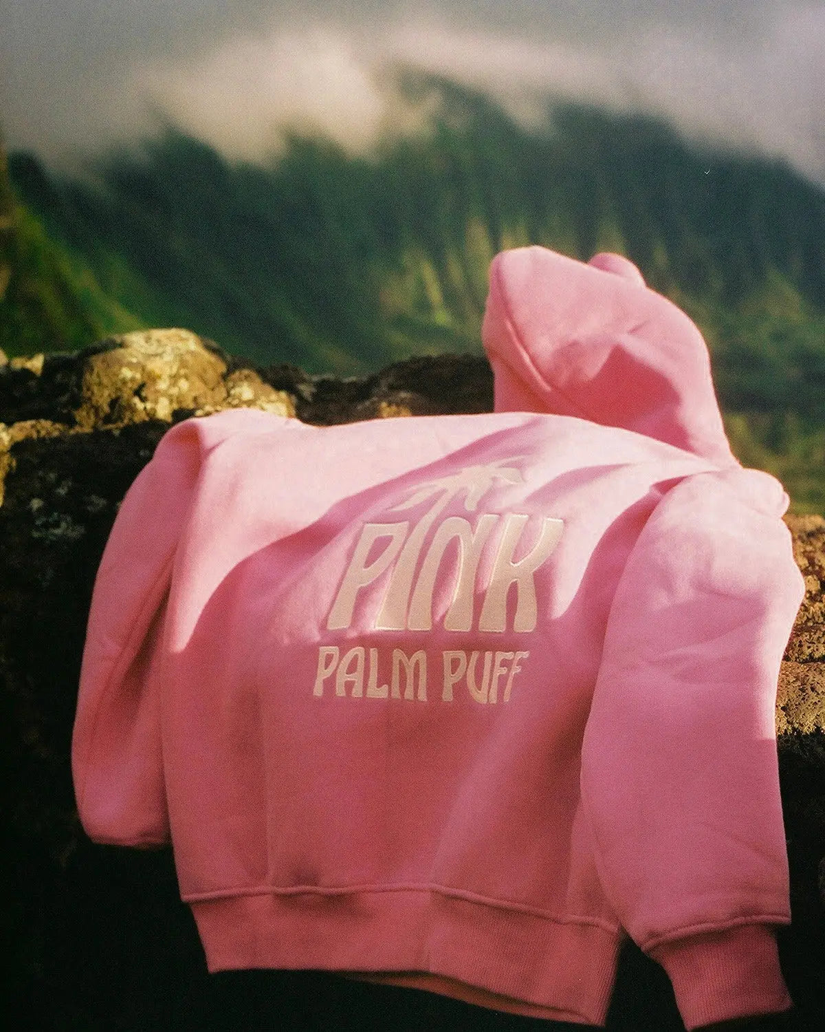 Classic Puff Hoodie in Raspberry Pink Palm Puff